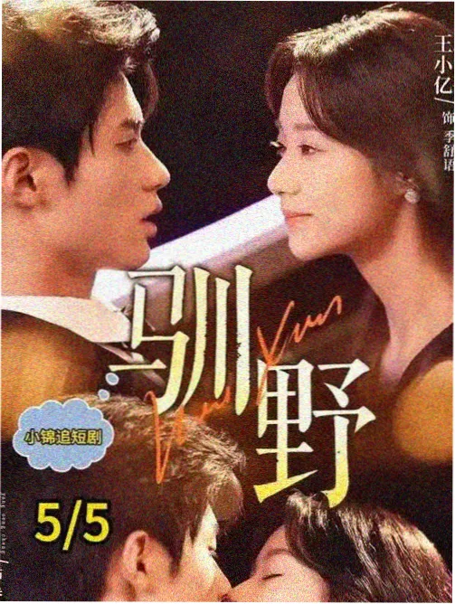 黄瓜影视悬疑推理剧雾港迷航剧照